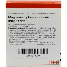 MAGNESIUM PHOSPHORICUM INJEEL fiale forte, 10 pz