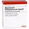 MAGNESIUM PHOSPHORICUM INJEEL fiale forte, 10 pz