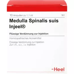 MEDULLA SPINALIS fiale suis Injeel, 10 pz