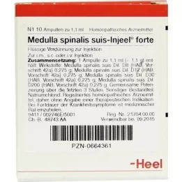 MEDULLA SPINALIS fiale suis Injeel forte, 10 pz