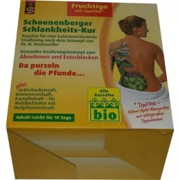 SCHLANKHEITSKUR Schoenenberger fruttato, 1 p