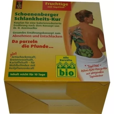 SCHLANKHEITSKUR Schoenenberger fruttato, 1 p