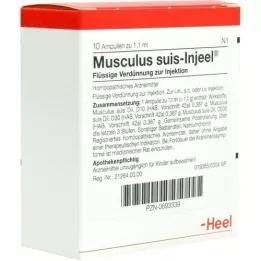 MUSCULUS SUIS Fiale Injeel, 10 pz