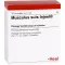 MUSCULUS SUIS Fiale Injeel, 10 pz
