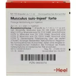MUSCULUS SUIS Fiale Injeel forte, 10 pz