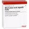 MUSCULUS SUIS Fiale Injeel forte, 10 pz