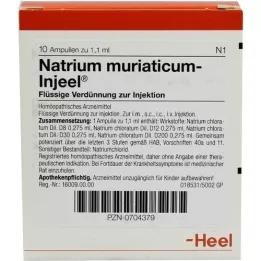 NATRIUM MURIATICUM INJEEL Fiale, 10 pz