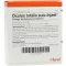 OCULUS totalis suis Injeel fiale, 10 pz
