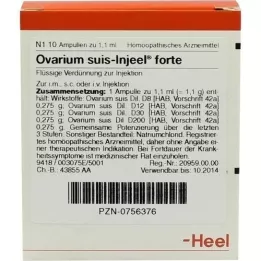 OVARIUM SUIS Fiale Injeel forte, 10 pz