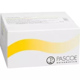 LYMPHDIARAL INJEKTOPAS Fiale L, 100 pz