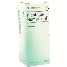 PLANTAGO HOMACCORD Gocce, 30 ml