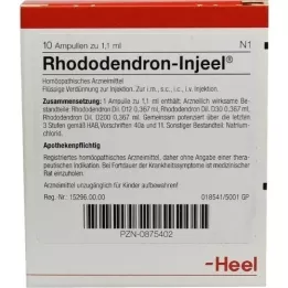 RHODODENDRON INJEEL Fiale, 10 pz
