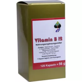VITAMIN CAPSULE B12, 120 pz