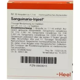 SANGUINARIA INJEEL Fiale, 10 pz