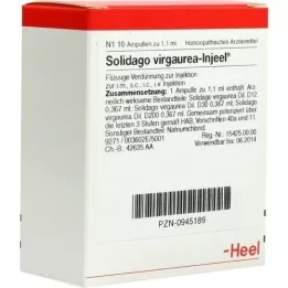 SOLIDAGO VIRGAUREA INJEEL Fiale, 10 pz