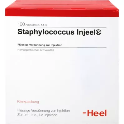 STAPHYLOCOCCUS INJEEL Fiale, 100 pz STAPHYLOCOCCUS INJEEL Fiale, 100 pz