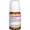 PHYTOLACCA D 1 compresse, 80 pz