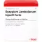 SYZYGIUM JAMBOLANUM INJEEL fiale forte, 10 pz