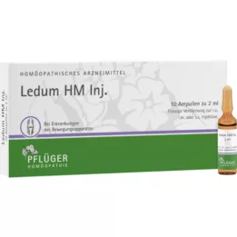 LEDUM HM Fiale per iniezione, 10 pz