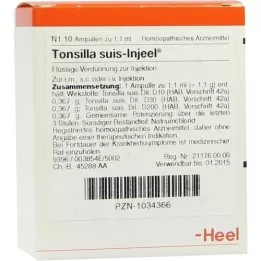 TONSILLA SUIS Fiale Injeel, 10 pz