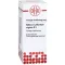 STIBIUM SULFURATUM NIGRUM Diluizione D8, 50 ml
