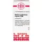STIBIUM SULFURATUM NIGRUM Globuli C 200, 10 g