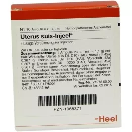 UTERUS SUIS Fiale Injeel, 10 pz