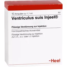 VENTRICULUS SUIS Fiale Injeel, 10 pz