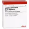VESICA URINARIA fiale suis-Injeel, 10 pz