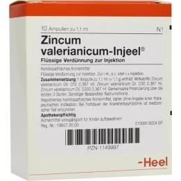ZINCUM VALERIANICUM INJEEL Fiale, 10 pz