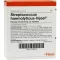 STREPTOCOCCUS HAEMOLYTICUS Fiale Injeel, 10 pz