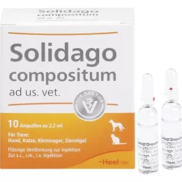 SOLIDAGO COMPOSITUM ad us.vet.fiale, 10 pz