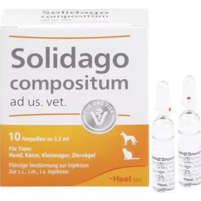 SOLIDAGO COMPOSITUM ad us.vet.fiale, 10 pz SOLIDAGO COMPOSITUM ad us.vet.fiale, 10 pz