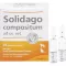 SOLIDAGO COMPOSITUM ad us.vet.fiale, 10 pz