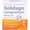 SOLIDAGO COMPOSITUM ad us.vet.fiale, 10 pz