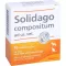SOLIDAGO COMPOSITUM ad us.vet.fiale, 10 pz