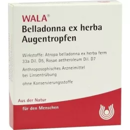 BELLADONNA EX HERBA Collirio, 5X0,5 ml