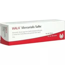 MERCURIALIS UNGUENTO, 30 g