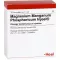 MAGNESIUM MANGANUM fosforicum Injeel fiale, 10 pz
