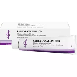 SALICYL VASELIN Unguento al 10%, 100 ml