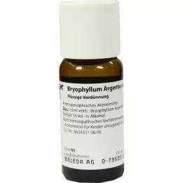 BRYOPHYLLUM ARGENTO cultum D 3 diluizione, 50 ml