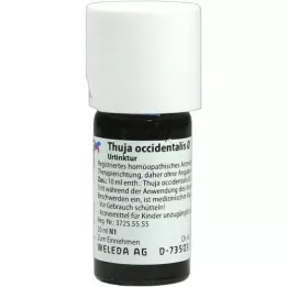 THUJA OCCIDENTALIS Tintura madre, 20 ml