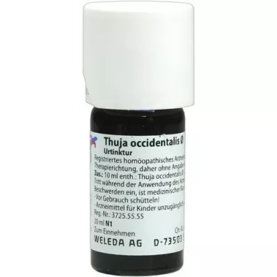 THUJA OCCIDENTALIS Tintura madre, 20 ml