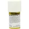 CARBO BETULAE D 20 Triturazione, 20 g