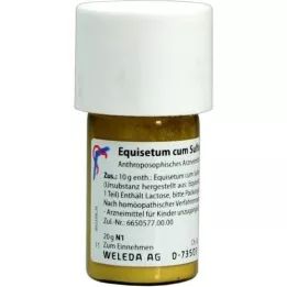 EQUISETUM CUM Zolfo tostum D 6 Triturazione, 20 g