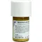 EQUISETUM CUM Zolfo tostum D 6 Triturazione, 20 g