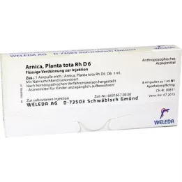 ARNICA PLANTA totale Rh D 6 fiale, 8X1 ml