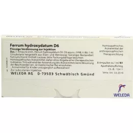FERRUM HYDROXYDATUM D 6 fiale, 8X1 ml