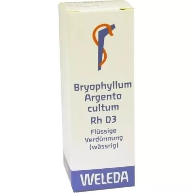 BRYOPHYLLUM ARGENTO cultum Rh D 3 Diluizione, 20 ml BRYOPHYLLUM ARGENTO cultum Rh D 3 Diluizione, 20 ml