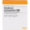 CEREBRUM COMPOSITUM NM Fiale, 10 pz